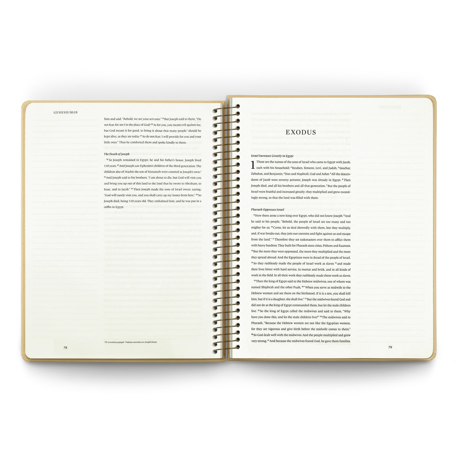 ESV Spiral-Bound Journaling Bible, Pentateuch - Image 3